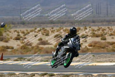 media/Apr-10-2022-SoCal Trackdays (Sun) [[f104b12566]]/Turn 5 Tree of Life (1040am)/